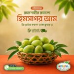 রাজশাহীর প্রিমিয়াম হিমসাগর আম  (১০ কেজি)