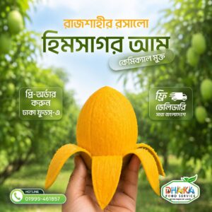 রাজশাহীর প্রিমিয়াম হিমসাগর আম  (১০ কেজি) - Image 2